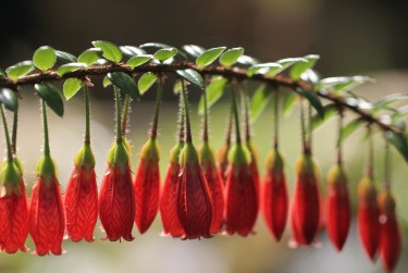 徐州沛县零用贷短借：轻松解决临时资金需求