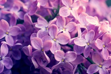 徐州沛县企业急用钱贷款攻略：快速融资解燃眉之急